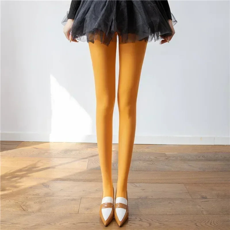 Women Bodycon Super Elastic See Through Lace Pantyhose Autumn Sexy Slim Elegant Burgundy Tights Winter